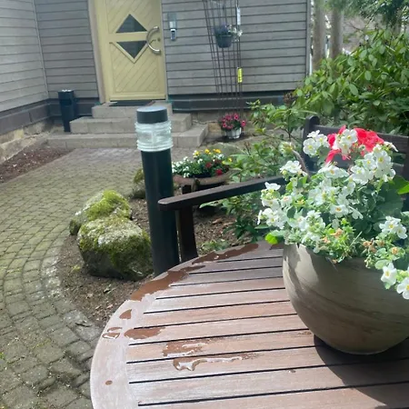 Vakantiehuis Waldidyll By Interhome Braunlage